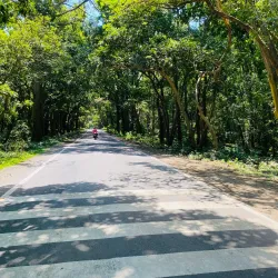 Kalesar National Park - Yamunanagar (Yamuna Nagar)
