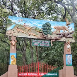 Kalesar National Park - Yamunanagar (Yamuna Nagar)