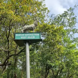 Kalesar National Park - Yamunanagar (Yamuna Nagar)