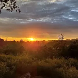 Kalesar National Park - Yamunanagar (Yamuna Nagar)