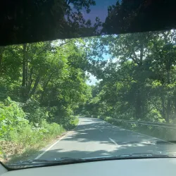 Kalesar National Park - Yamunanagar (Yamuna Nagar)