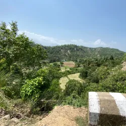 Kalesar National Park - Yamunanagar (Yamuna Nagar)