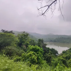 Kalesar Wildlife Sanctuary - Yamunanagar (Yamuna Nagar)