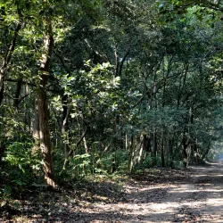 Kalesar Wildlife Sanctuary - Yamunanagar (Yamuna Nagar)