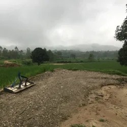 Kalesar Wildlife Sanctuary - Yamunanagar (Yamuna Nagar)