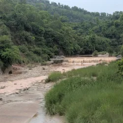 Kalesar Wildlife Sanctuary - Yamunanagar (Yamuna Nagar)