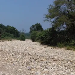 Kalesar Wildlife Sanctuary - Yamunanagar (Yamuna Nagar)