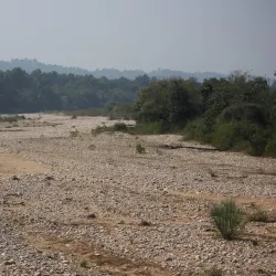 Kalesar Wildlife Sanctuary - Yamunanagar (Yamuna Nagar)