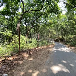 Kalesar Wildlife Sanctuary - Yamunanagar (Yamuna Nagar)