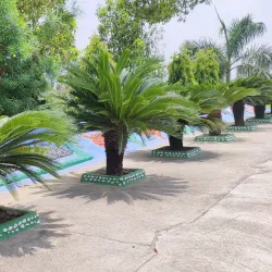 Panchmukhi Hanuman Mandir - Yamunanagar (Yamuna Nagar)