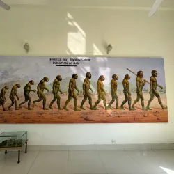 Shivalik Fossil Park - Yamunanagar (Yamuna Nagar)