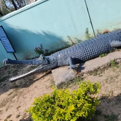 Shivalik Fossil Park - Yamunanagar (Yamuna Nagar)