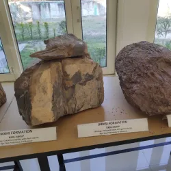 Shivalik Fossil Park - Yamunanagar (Yamuna Nagar)