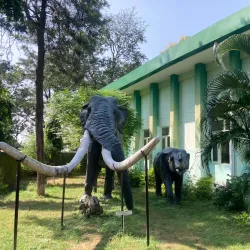 Shivalik Fossil Park - Yamunanagar (Yamuna Nagar)