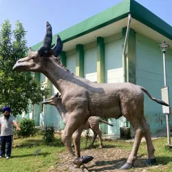 Shivalik Fossil Park - Yamunanagar (Yamuna Nagar)