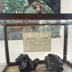 Shivalik Fossil Park - Yamunanagar (Yamuna Nagar)