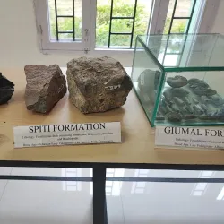 Shivalik Fossil Park - Yamunanagar (Yamuna Nagar)