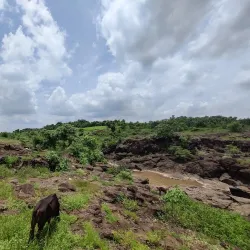 Nearby Lakes and Water Bodies - Zaheerabad