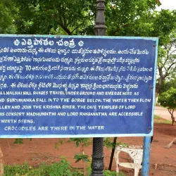 Rural Countryside Around Zaheerabad - Zaheerabad