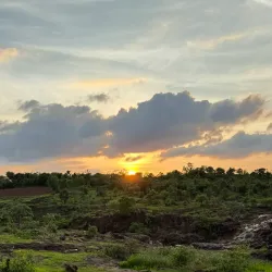 Rural Countryside Around Zaheerabad - Zaheerabad