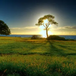 Zaheerabad Fort - Zaheerabad