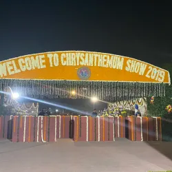 Terraced Garden (nearby) - Zirakpur