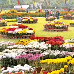Terraced Garden (nearby) - Zirakpur