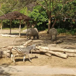 Bali Safari and Marine Park - Bali