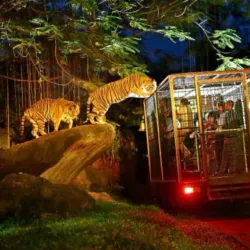 Bali Safari and Marine Park - Bali