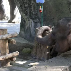 Bali Safari and Marine Park - Bali