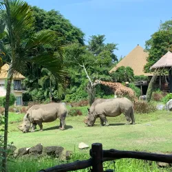 Bali Safari and Marine Park - Bali