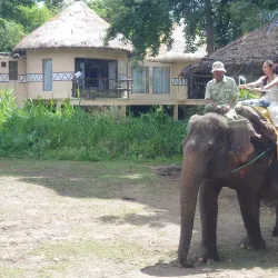 Bali Safari and Marine Park - Bali