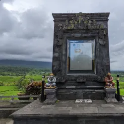 Jatiluwih Rice Terraces - Bali