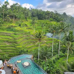 Tegallalang Rice Terraces - Bali