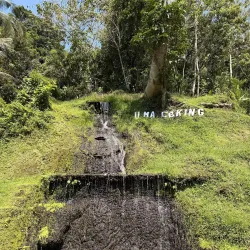 Tegallalang Rice Terraces - Bali