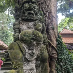 Ubud Monkey Forest - Bali