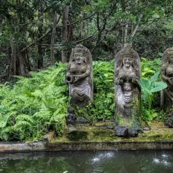Ubud Monkey Forest - Bali
