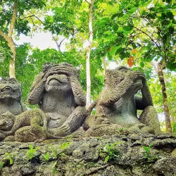 Ubud Monkey Forest - Bali