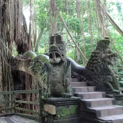 Ubud Monkey Forest - Bali