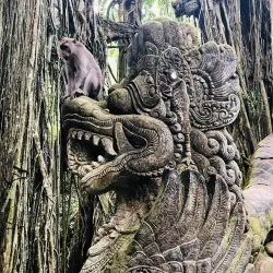 Ubud Monkey Forest - Bali