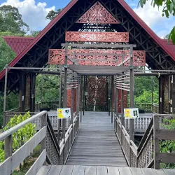 Balikpapan Botanical Garden - Balikpapan