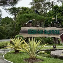 Balikpapan Botanical Garden - Balikpapan