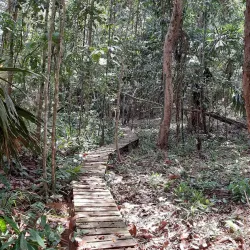 Wain River Protection Forest - Balikpapan