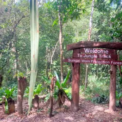Wain River Protection Forest - Balikpapan