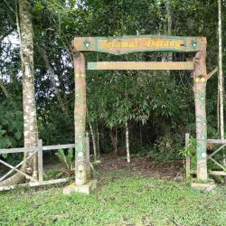 Wain River Protection Forest - Balikpapan