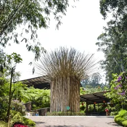 Dusun Bambu Leisure Park - Bandung