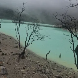 Kawah Putih (White Crater) - Bandung