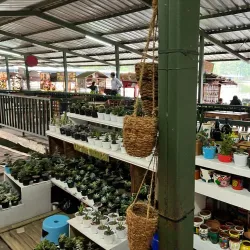 Lembang Floating Market - Bandung