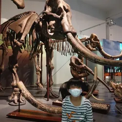 Museum Geologi Bandung - Bandung