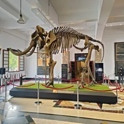 Museum Geologi Bandung - Bandung